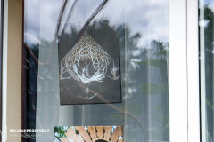 2023-07-20-fotoparodos-atidarymas-Sasnavoje-11-of-37