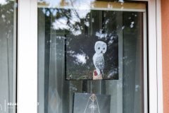 2023-07-20-fotoparodos-atidarymas-Sasnavoje-18-of-37