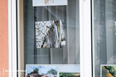 2023-07-20-fotoparodos-atidarymas-Sasnavoje-28-of-37