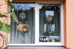 2023-07-20-fotoparodos-atidarymas-Sasnavoje-4-of-37