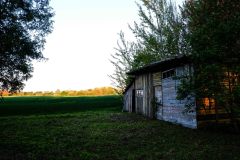 Aura-Augustanaviciute-2-of-6