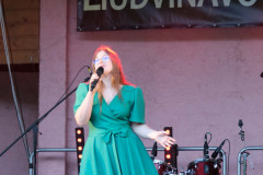 Muzikos-festivalis-Liudvinavo-naktys-18-of-35