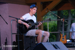 Muzikos-festivalis-Liudvinavo-naktys-4-of-35